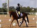 Fig Tree Pocket Equestrian Club image 2