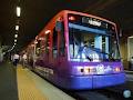 Fish Market Metro Light Rail logo