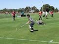 Fremantle Hockey Club logo