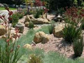 GKS Landscape Design and Development image 6