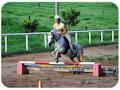 Glasshouse Mountains Riding School image 2