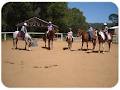 Glasshouse Mountains Riding School image 5