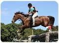 Glasshouse Mountains Riding School logo