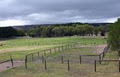 Glenferrie Stud Thoroughbred Agistment logo