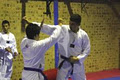 Global Martial Arts image 3