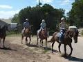 Gunnamatta Trail Rides image 6