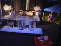 ICE - ART The Novelty Ice Company image 2