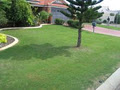 Jims Mowing Wellard image 4