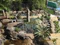 Kenchi Lifestyle Gardens image 5