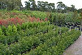 Kilby Park Tree Farm image 2