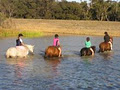 Koombahla Riding School "Newington" image 2