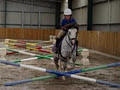 Melbourne Indoor Equestrian Centre image 2