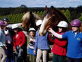 Melbourne Indoor Equestrian Centre image 4