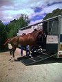 Mornington Cranbourne Float Service image 3