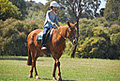 Morphettville Riding Centre logo