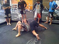 Nyushido MMA image 4