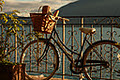 OneWorld Collection Pty Ltd image 1
