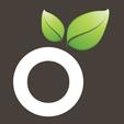 Oranges And Lime Web Design and Development logo
