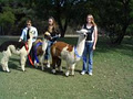 Paradise Alpacas image 2