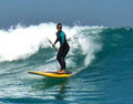 Peninsula Stand Up Paddle (SUP) image 4