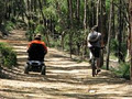 Perth Hills National Parks Centre image 6