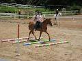 Samarai Park Riding School and Agistment image 3