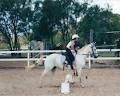 Samarai Park Riding School and Agistment image 4