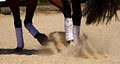 Samarai Park Riding School and Agistment image 1