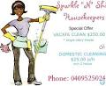 Sparkle N Shine Housekeepers logo
