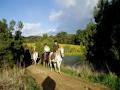 Springcreek Farm image 1