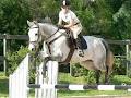 Sydney Equestrian Centre image 2