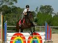 Sydney Equestrian Centre image 3