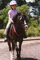 TRANQUIL PARK STABLES AND HORSE RIDING MELBOURNE image 2