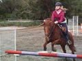 TRANQUIL PARK STABLES AND HORSE RIDING MELBOURNE logo