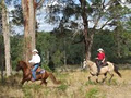 Tales of the Trail Western Ranch image 2