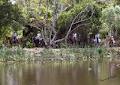 Tamborine Mountain Trail Rides image 3