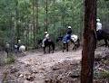 Tamborine Mountain Trail Rides image 4