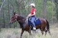 Tamborine Mountain Trail Rides image 5