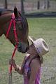 Tamborine Mountain Trail Rides image 1