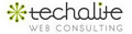 Techalite Web Consulting image 1