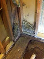 Termite Tactics Pty Ltd image 4