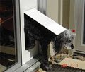 The Portable Pet Door image 3