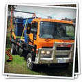 Tiger Waste logo