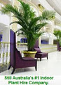 Tropical Plant Rentals image 5