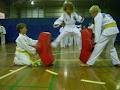 Ultimate Taekwon-Do image 1