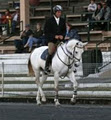 Warrego Warmblood Stud image 2