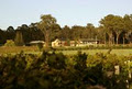 Wombat Crossing Vineyard logo