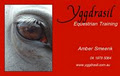 Yggdrasil Equestrian Training logo