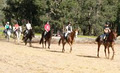 Zia Park Equestrian Centre logo