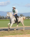 Zuhra Arabian Horses image 4